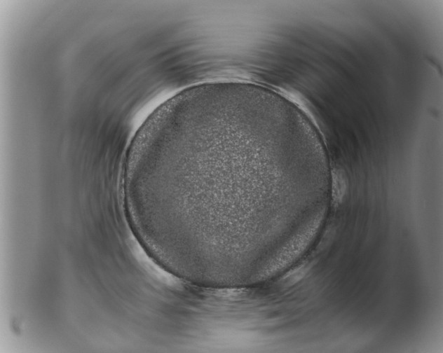 X0000103271387200809122126