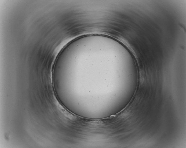 X0000103271388200809122126