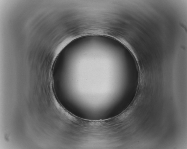 X0000103271389200809122126