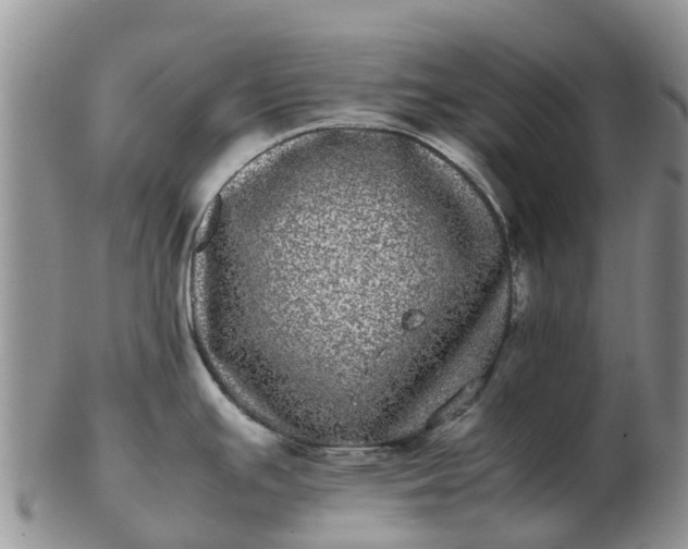 X0000103271391200809122126