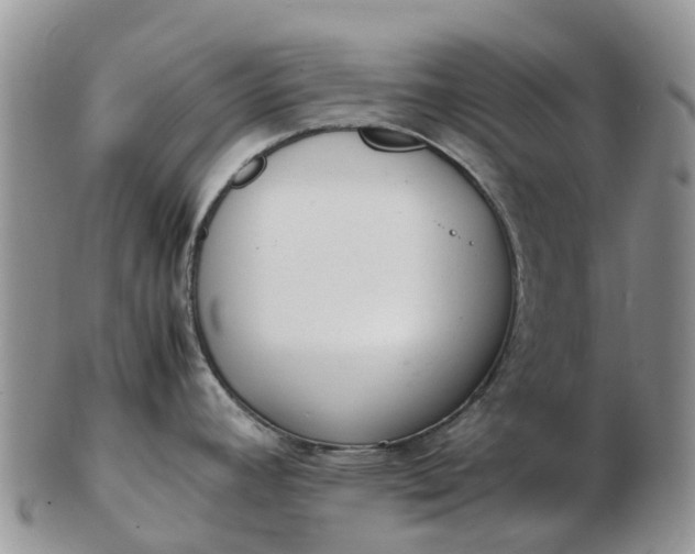 X0000103271392200809122126