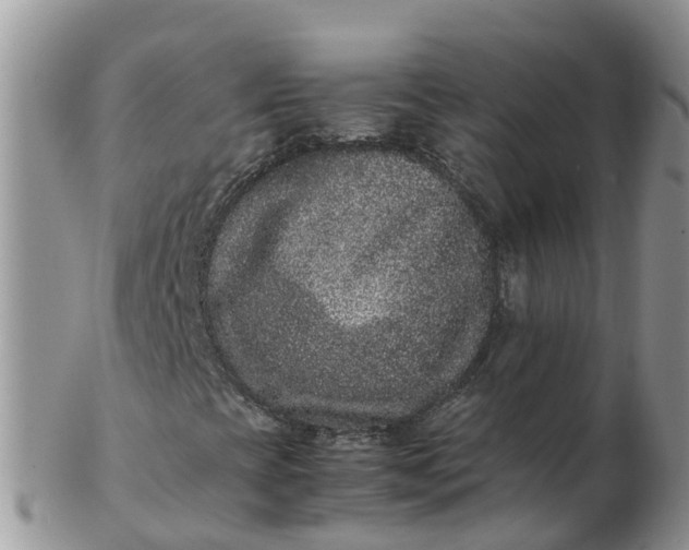 X0000103271393200809122125