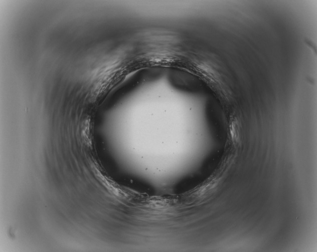 X0000103271396200809122125