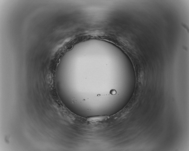 X0000103271398200809122125