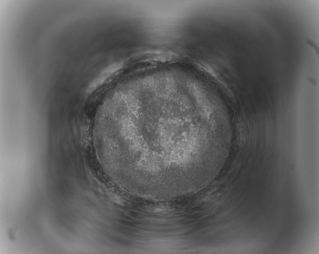 X0000103271399200809122125