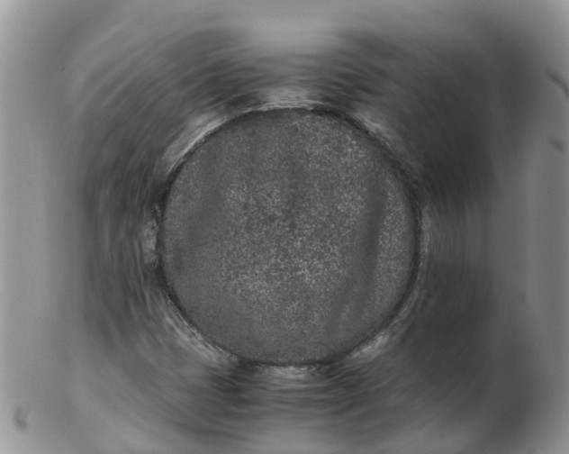 X0000103271401200809122125