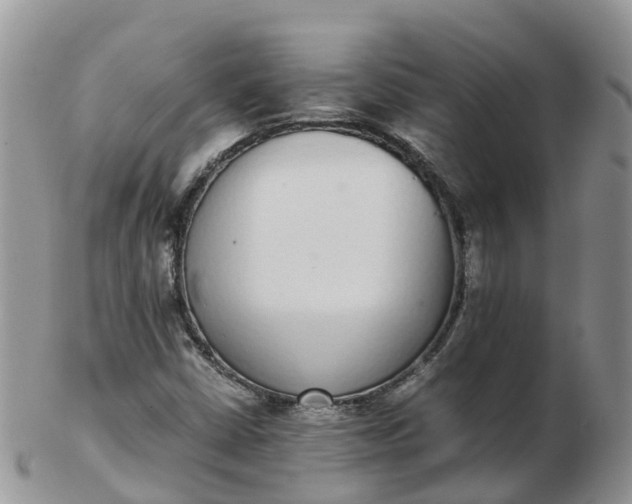 X0000103271402200809122125