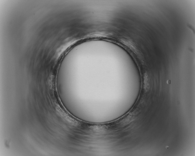 X0000103271404200809122125