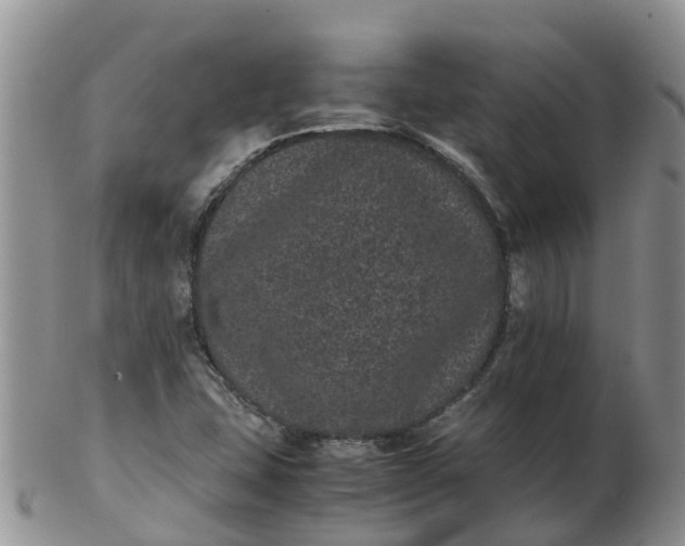 X0000103271407200809122125