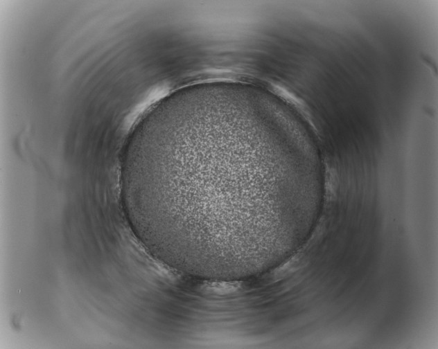 X0000103271411200809122125