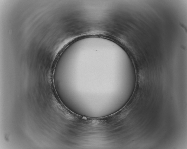 X0000103271412200809122126