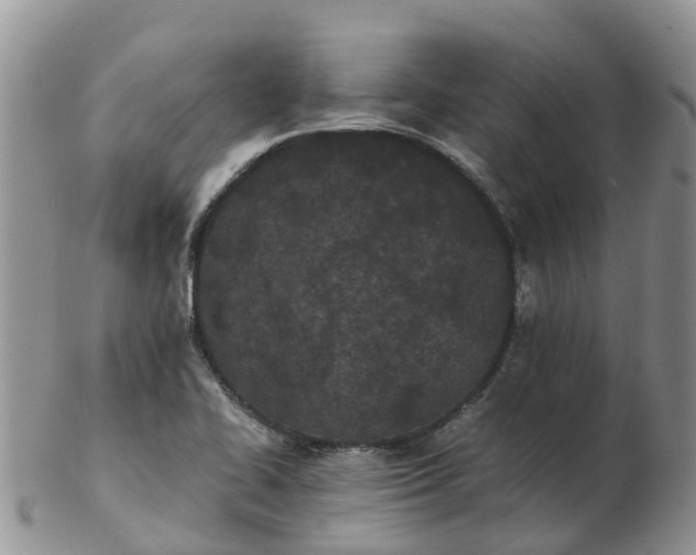 X0000103271414200809122126