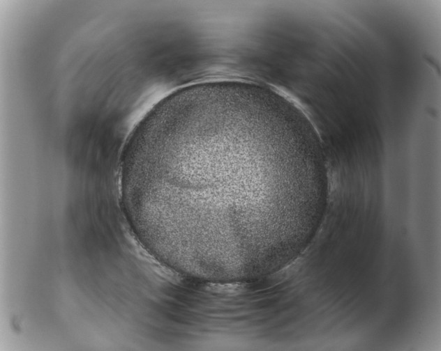 X0000103271415200809122126