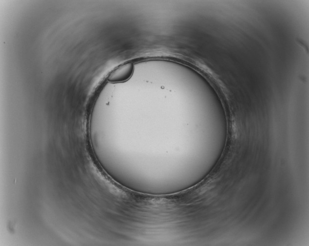 X0000103271416200809122126