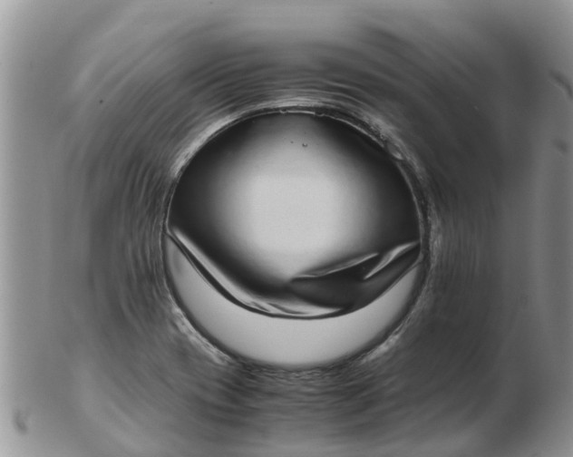 X0000103271417200809122126