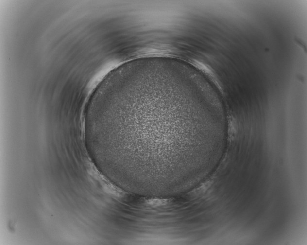 X0000103271419200809122126