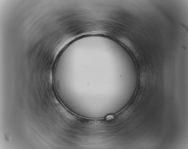 X0000103271420200809122126