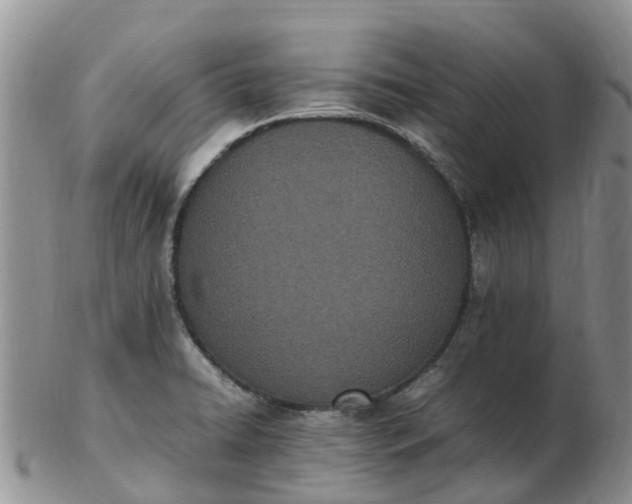 X0000103271422200809122126