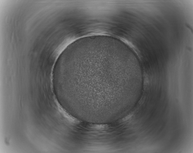X0000103271423200809122126