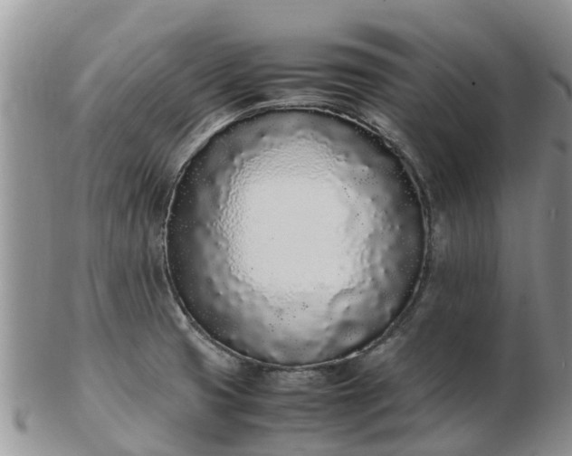 X0000103271425200809122126