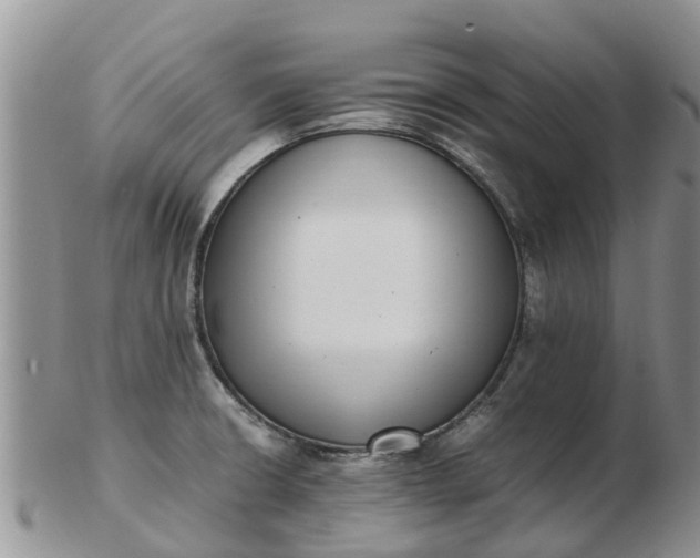 X0000103271426200809122126