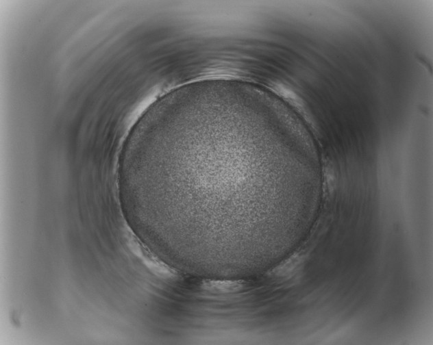 X0000103271427200809122126