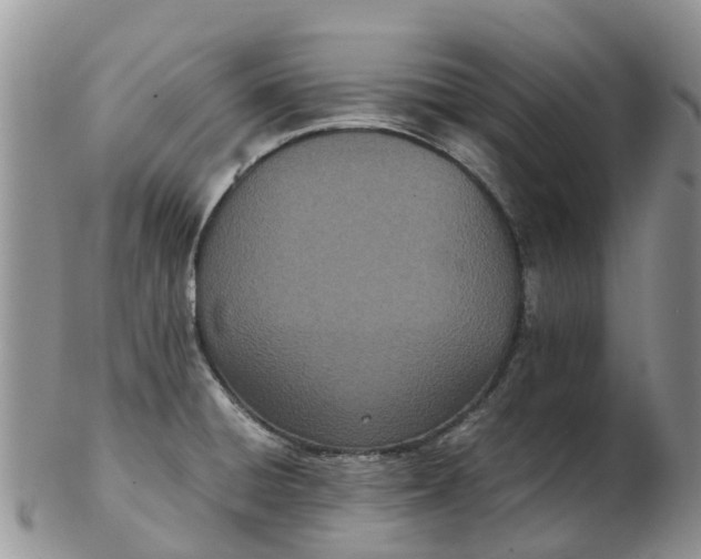 X0000103271428200809122126