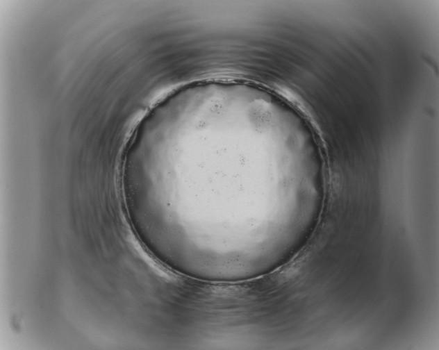 X0000103271429200809122126