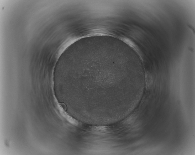 X0000103271431200809122126