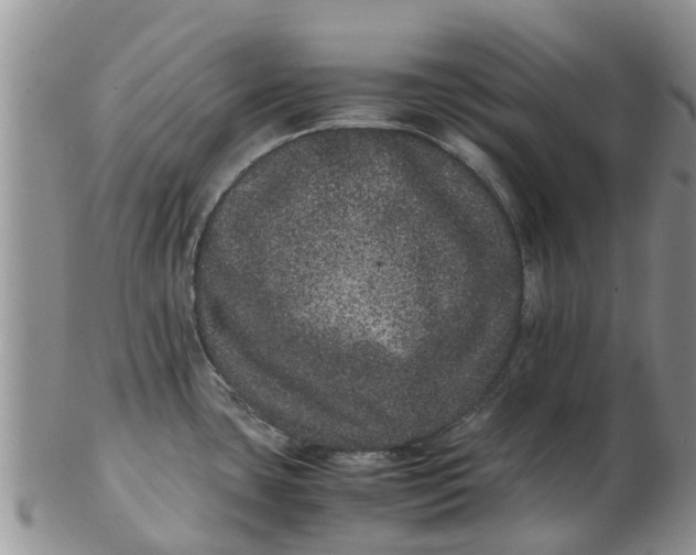 X0000103271435200809122126