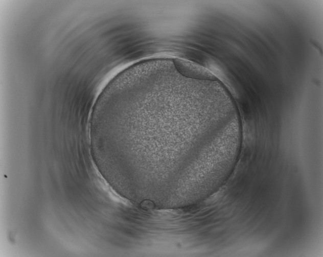 X0000103271436200809122126