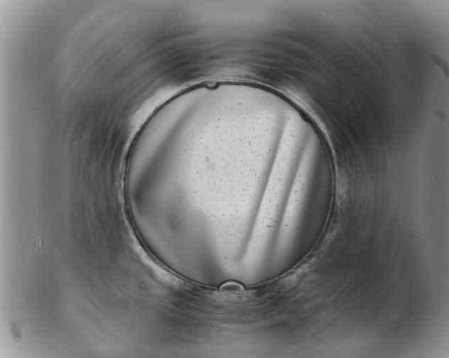 X0000103271437200809122126
