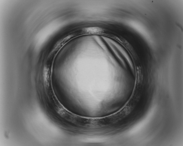 X0000103271438200809122126