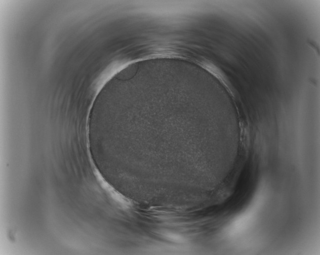X0000103271439200809122126