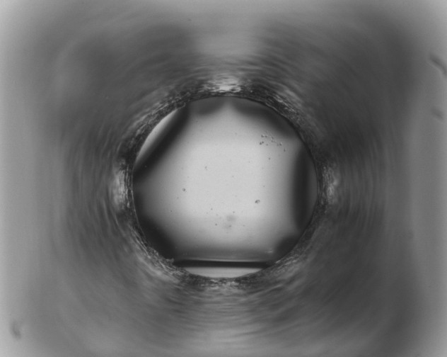 X0000103271442200809122125