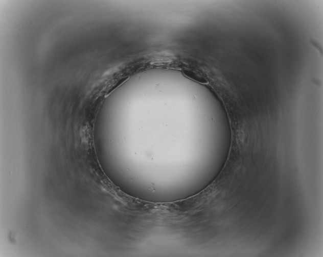 X0000103271445200809122125