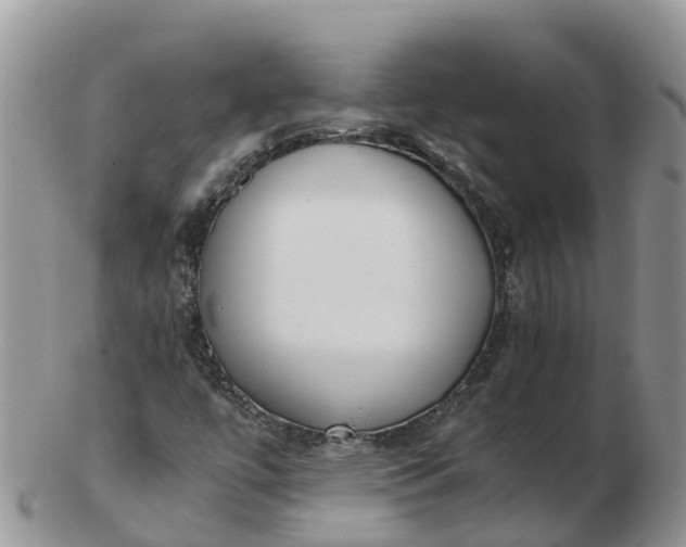 X0000103271447200809122125