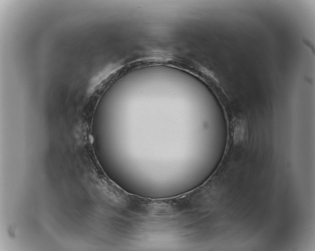 X0000103271448200809122125