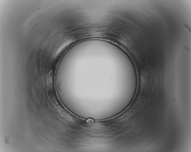 X0000103271450200809122125