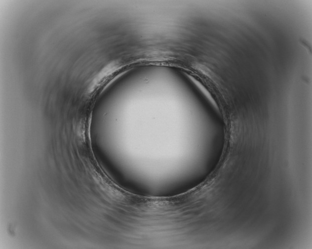 X0000103271451200809122125