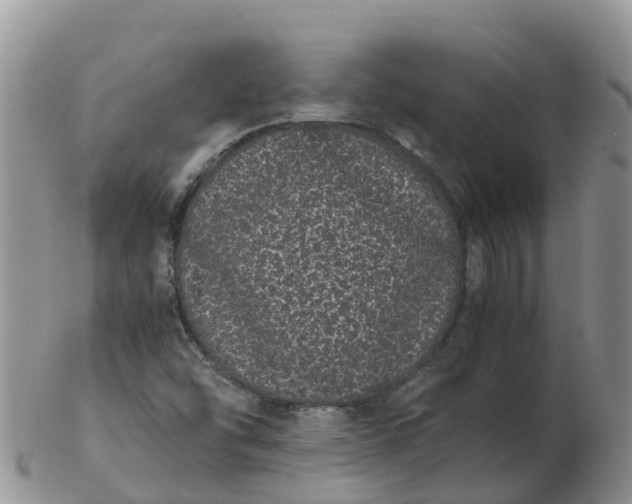 X0000103271454200809122125