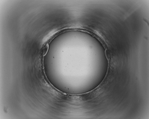 X0000103271456200809122125