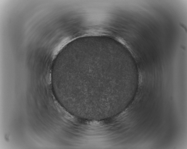 X0000103271459200809122125