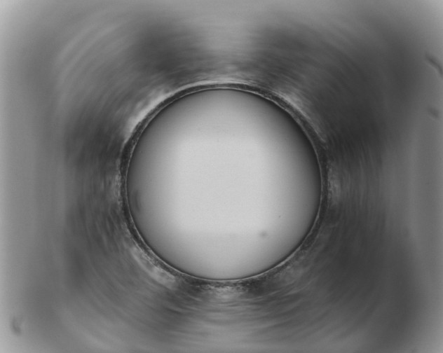 X0000103271460200809122125