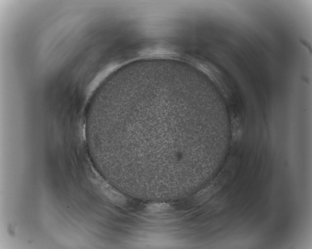 X0000103271462200809122125