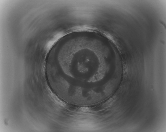 X0000103271463200809122125