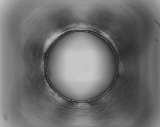 X0000103271464200809122125