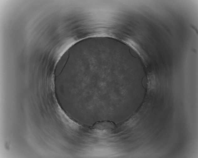 X0000103271468200809122125