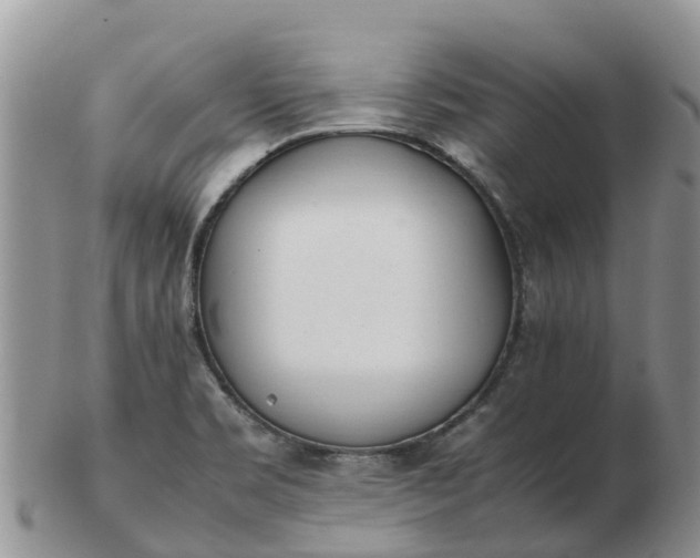 X0000103271469200809122125