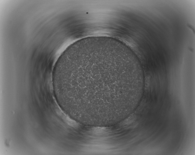 X0000103271470200809122125